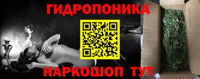 стафф Долгопрудный